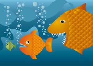 big-fish-little-fish-735454