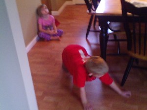 P000-266-256-428-d7019