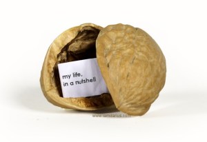 my_life_in_a_nutshell