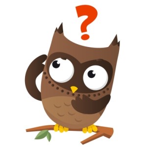 Owl-Question