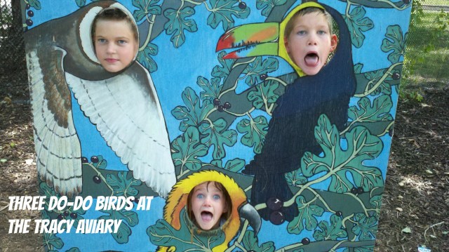 2013-07-23_12-20-53_866