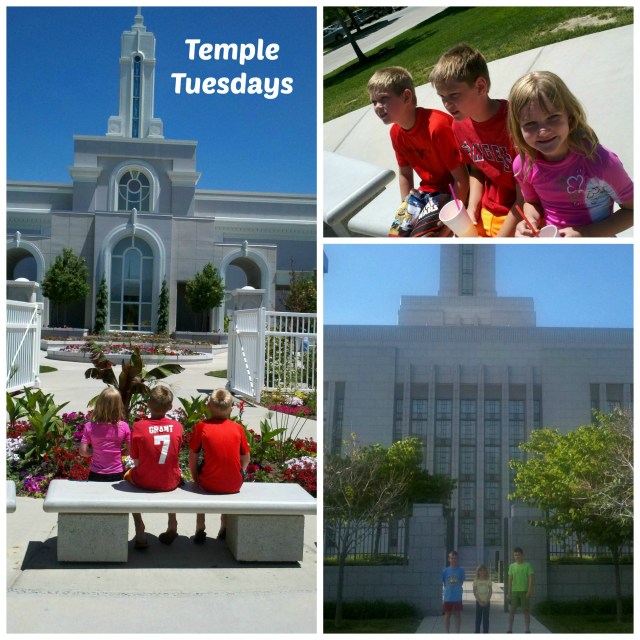 temple tuesdays