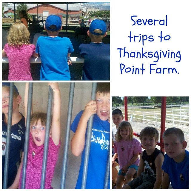 TG point farm