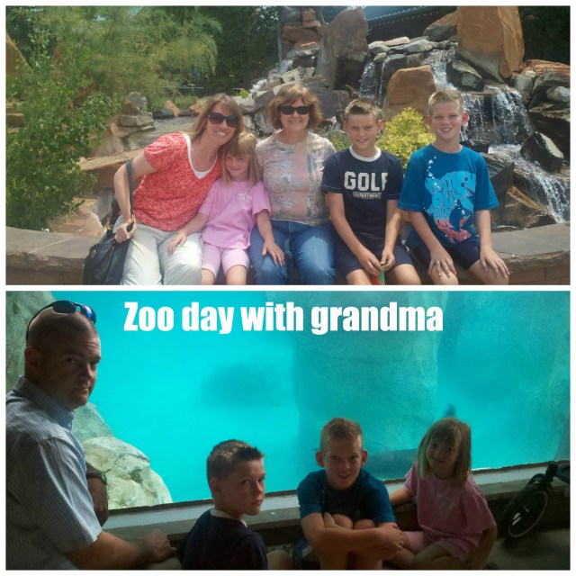 zoo